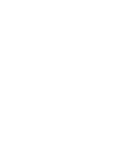 Mur de pictos